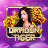 Dragon Tiger live casino at jili333 app login